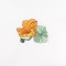 BFC0693 Nasturtiums