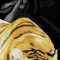 BFC0701 Window-Tiger III