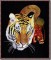 BFC0704 A Large Tiger and Dragon