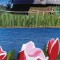 BFC0709 Windows on the World - The Netherlands