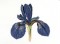 BFC0710 Elegant Flowers