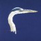 BFC0712 Large Blue Heron