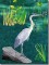BFC0712 Large Blue Heron