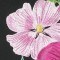 BFC0713 Window - Elegant Flowers