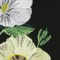 BFC0713 Window - Elegant Flowers