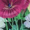 BFC0713 Window - Elegant Flowers