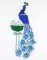 BFC0714 A Dozen Peacocks