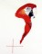 BFC0718 Large Scarlet Macaw