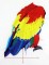 BFC0718 Large Scarlet Macaw
