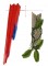 BFC0718 Large Scarlet Macaw