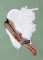 BFC0719 Large Cockatoo