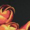 BFC0720 Window - Tulips