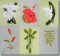 BFC0722 Tropical Flowers