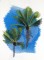 BFC0726 Tropical Getaway Designs