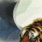 BFC0732 Window-Tiger Fantasy