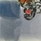 BFC0732 Window-Tiger Fantasy