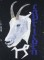 BFC0734 The Zodiac