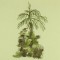 BFC0735 Orchid Jungle Designs