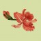 BFC0735 Orchid Jungle Designs