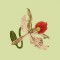 BFC0735 Orchid Jungle Designs