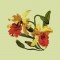 BFC0735 Orchid Jungle Designs