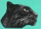BFC0736 Two Panther Portraits
