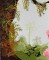 BFC0740 Window-Hummingbirds and the Orchid
