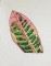 BFC0746 3D Rainforest Fun Designs