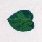 BFC0746 3D Rainforest Fun Designs