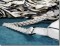 BFC0757 Jaguar Handbag