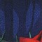 BFC0758 Window - Red Roses