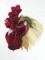 BFC0760 Portraits-Roosters