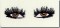 BFC0761 The Eyes Have It