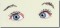 BFC0761 The Eyes Have It