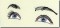 BFC0761 The Eyes Have It