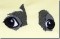 BFC0767 The Dogs Eyes Have It