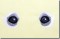 BFC0767 The Dogs Eyes Have It