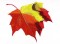 BFC0769 Leaves of Autumn
