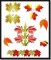 BFC0769 Leaves of Autumn