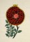 BFC0770 Turkish Motifs with Applique