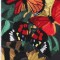 BFC0772 Window-Mums with Butterflies