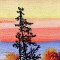 BFC0773 Window - Four Seasons - Fall Sunrise