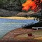 BFC0773 Window - Four Seasons - Fall Sunrise