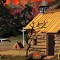 BFC0773 Window - Four Seasons - Fall Sunrise