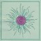 BFC0774 QIH Thistle Sampler
