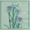 BFC0774 QIH Thistle Sampler