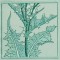 BFC0774 QIH Thistle Sampler