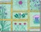 BFC0774 QIH Thistle Sampler