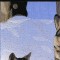 BFC0778 Window - Two Wolves