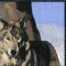 BFC0778 Window - Two Wolves